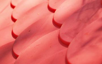 Lower Bush plastic roof costs