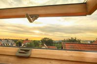 rated Lower Bush roof window companies